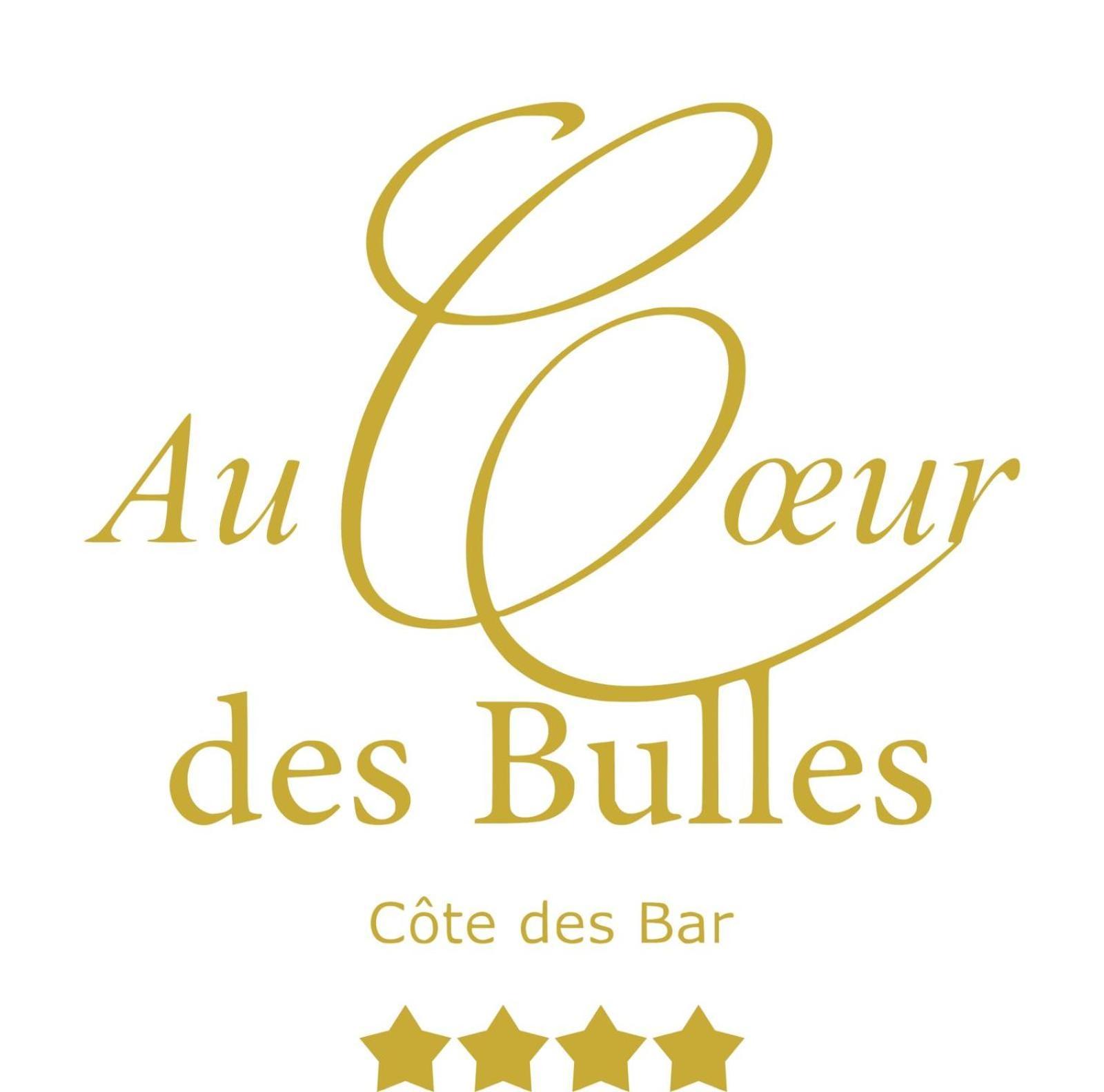 Hotel Au Coeur Des Bulles Loches-sur-Ource Exterior foto